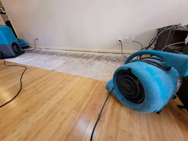 Reliable Basement Flood Cleanup contractor in Trenton, NC by Hirex Water Damage