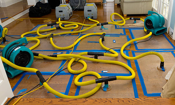 Professional Basement Flood Cleanup technician working in Trenton, NC